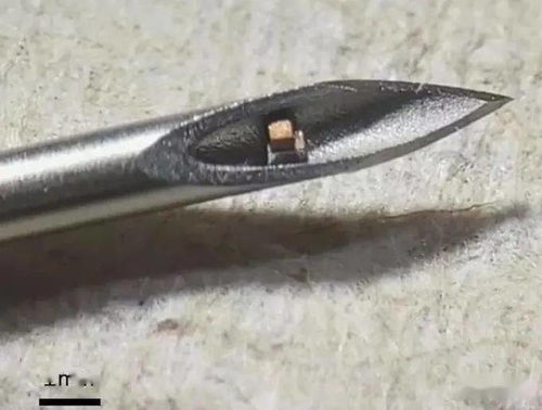 世界最小的可植入單芯片系統(tǒng),實現(xiàn)無線體溫監(jiān)測等功能